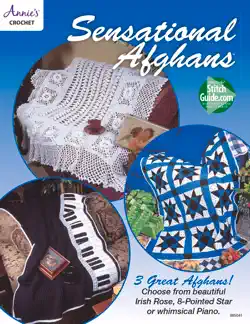 sensational afghans book cover image