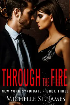 through the fire book cover image