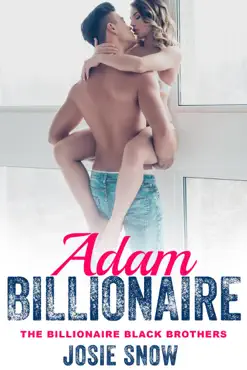 billionaire adam book cover image
