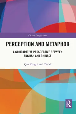 perception and metaphor book cover image