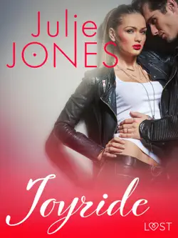 joyride - erotic short story book cover image