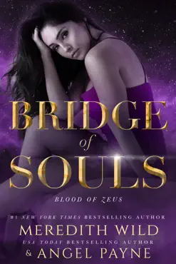 bridge of souls book cover image