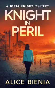 knight in peril book cover image
