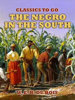 the negro in the south imagen de la portada del libro