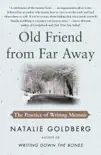 Old Friend from Far Away synopsis, comments