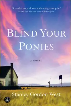 blind your ponies book cover image