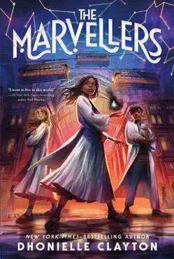 the marvellers book cover image