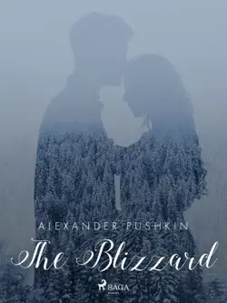 the blizzard book cover image
