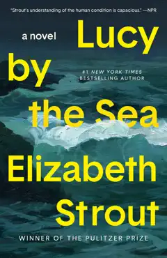 lucy by the sea book cover image