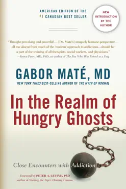 in the realm of hungry ghosts book cover image