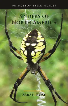 spiders of north america book cover image