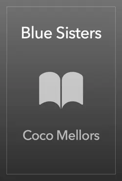 blue sisters book cover image
