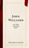 John Williams sinopsis y comentarios