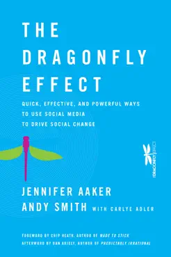 the dragonfly effect book cover image
