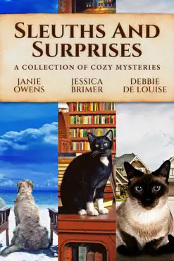sleuths and surprises book cover image