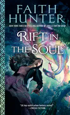 rift in the soul book cover image