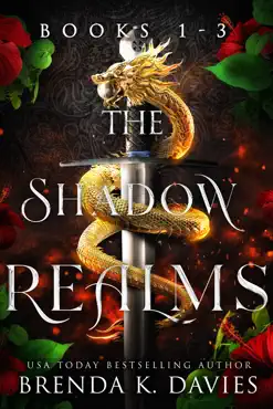 the shadow realms box set (books 1-3) book cover image