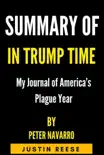 Summary of In Trump Time by Peter Navarro synopsis, comments