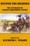 Beyond the Bighorn: The Afterlife of George Armstrong Custer sinopsis y comentarios