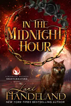 in the midnight hour book cover image