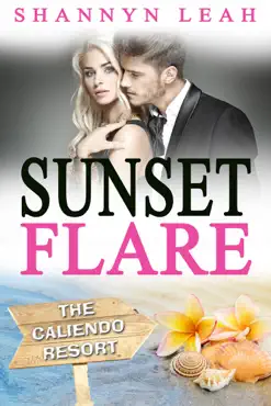 sunset flare book cover image