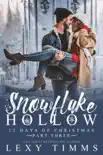 Snowflake Hollow - Part 3 e-book