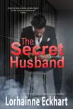 The Secret Husband synopsis, comments