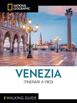 venezia. itinerari a piedi book cover image