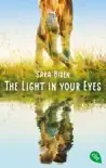 The Light in Your Eyes synopsis, comments