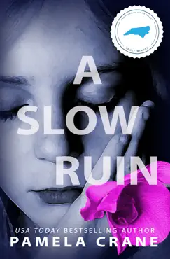 a slow ruin book cover image