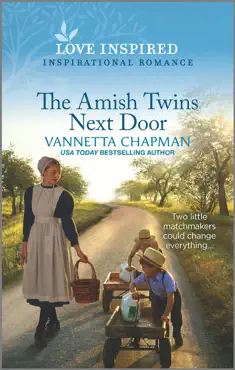 the amish twins next door book cover image