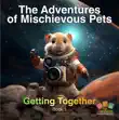 The Adventures of Mischievous Pets synopsis, comments