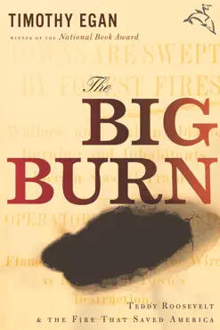 the big burn book cover image