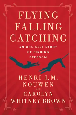 flying, falling, catching book cover image