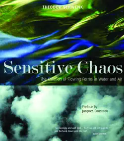sensitive chaos imagen de la portada del libro