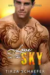 Love in the Sky synopsis, comments