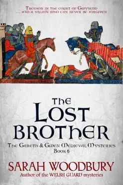the lost brother book cover image