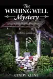 The Wishing Well Mystery sinopsis y comentarios