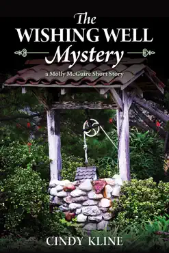 the wishing well mystery imagen de la portada del libro