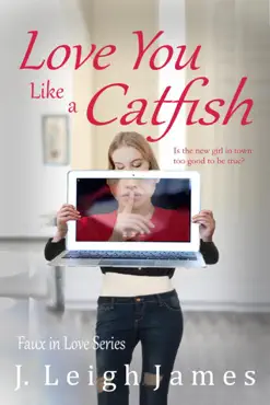 love you like a catfish book cover image