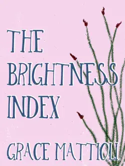 the brightness index book cover image