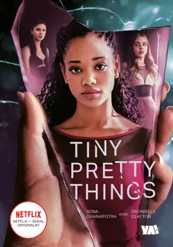 tiny pretty things book cover image