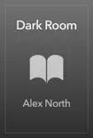 Dark Room sinopsis y comentarios