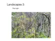 Landscapes 3 synopsis, comments