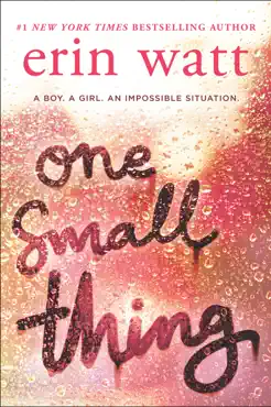 one small thing book cover image