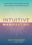 Intuitive Manifesting sinopsis y comentarios