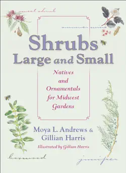 shrubs large and small book cover image