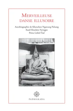 merveilleuse danse illusoire book cover image