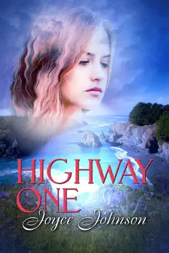 highway one book cover image