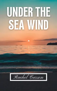 under the sea wind book cover image